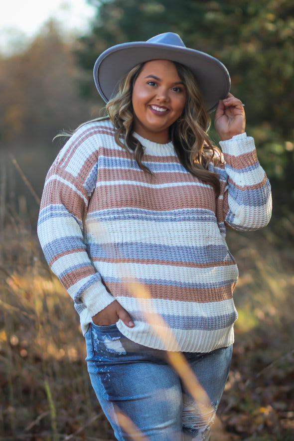 Curvy Mauve & Periwinkle Multi Stripe Sweater