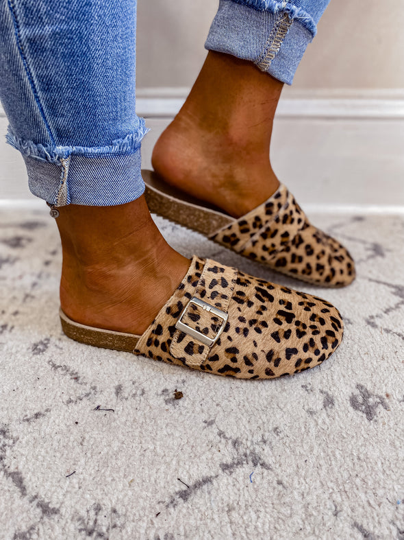 Matisse Zella Leopard Mule