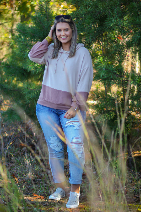 Taupe & Mocha Brushed Knit Hoodie Top