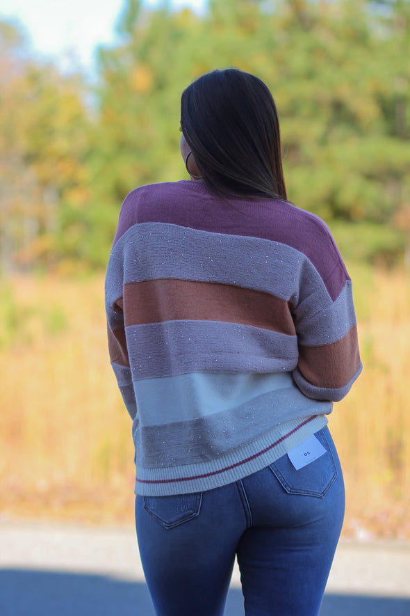 Mauve Multi Colorblock Sequin Sweater