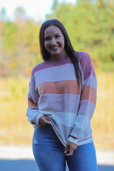 Mauve Multi Colorblock Sequin Sweater